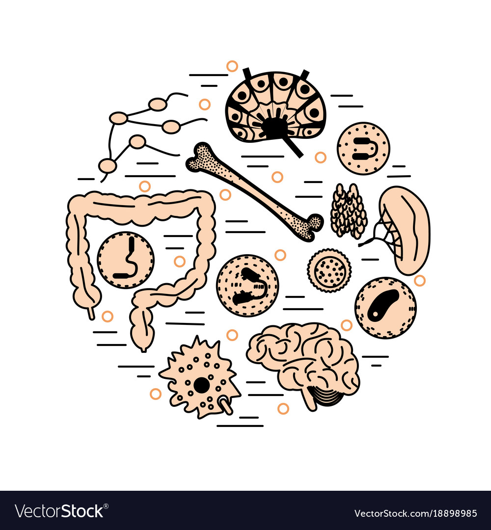 Immune System Icon Set Royalty Free Vector Image