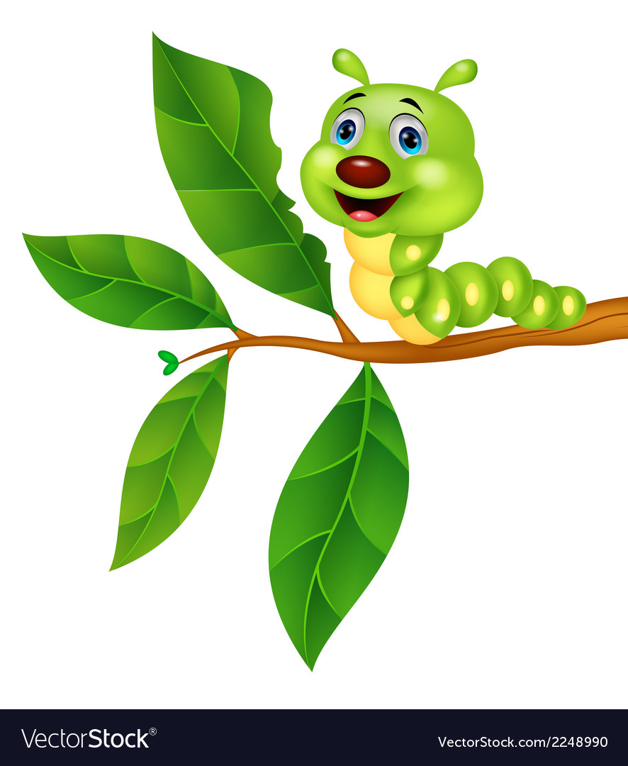 Cartoon Caterpillar Munching Leaf Royalty Free SVG, Cliparts, Vectors, and  Stock Illustration. Image 94841270.