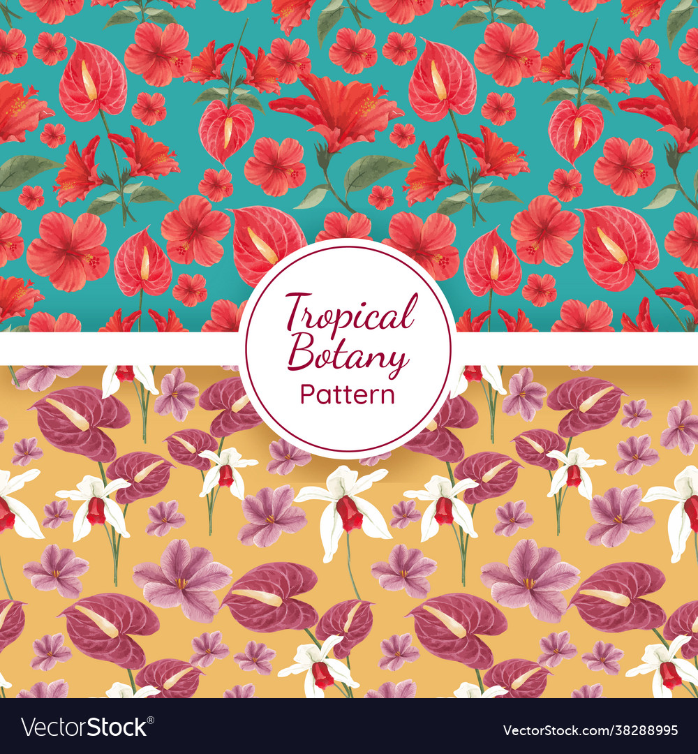 Pattern seamless with tropical botany concept