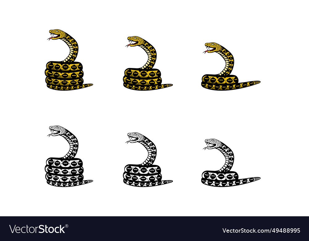 Python snake design