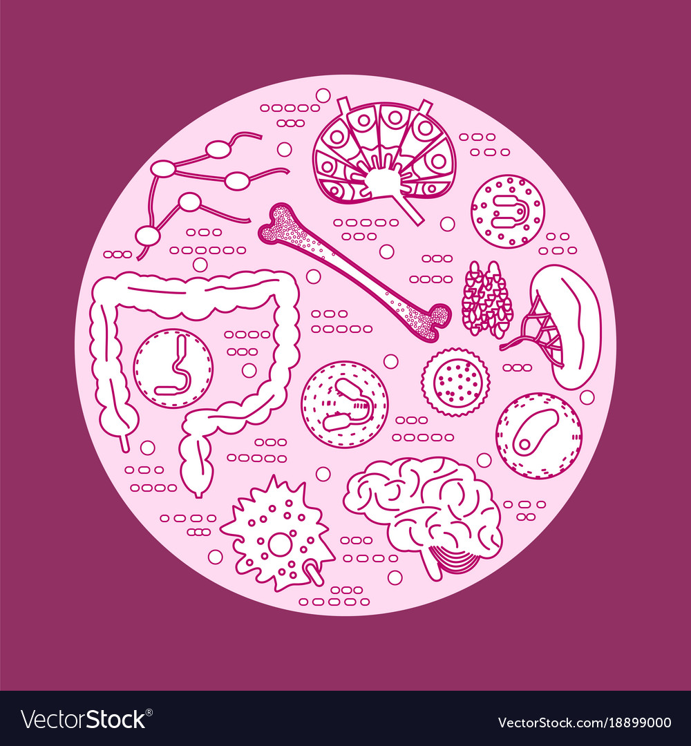 Immune system icon set