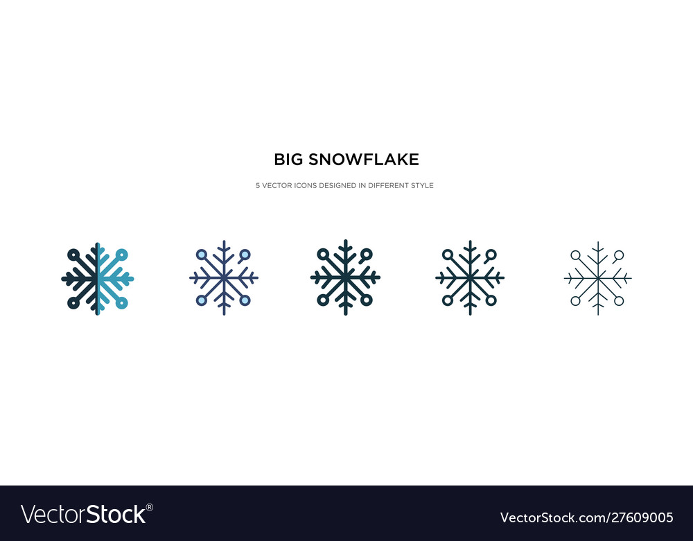 Big snowflake icon in different style two