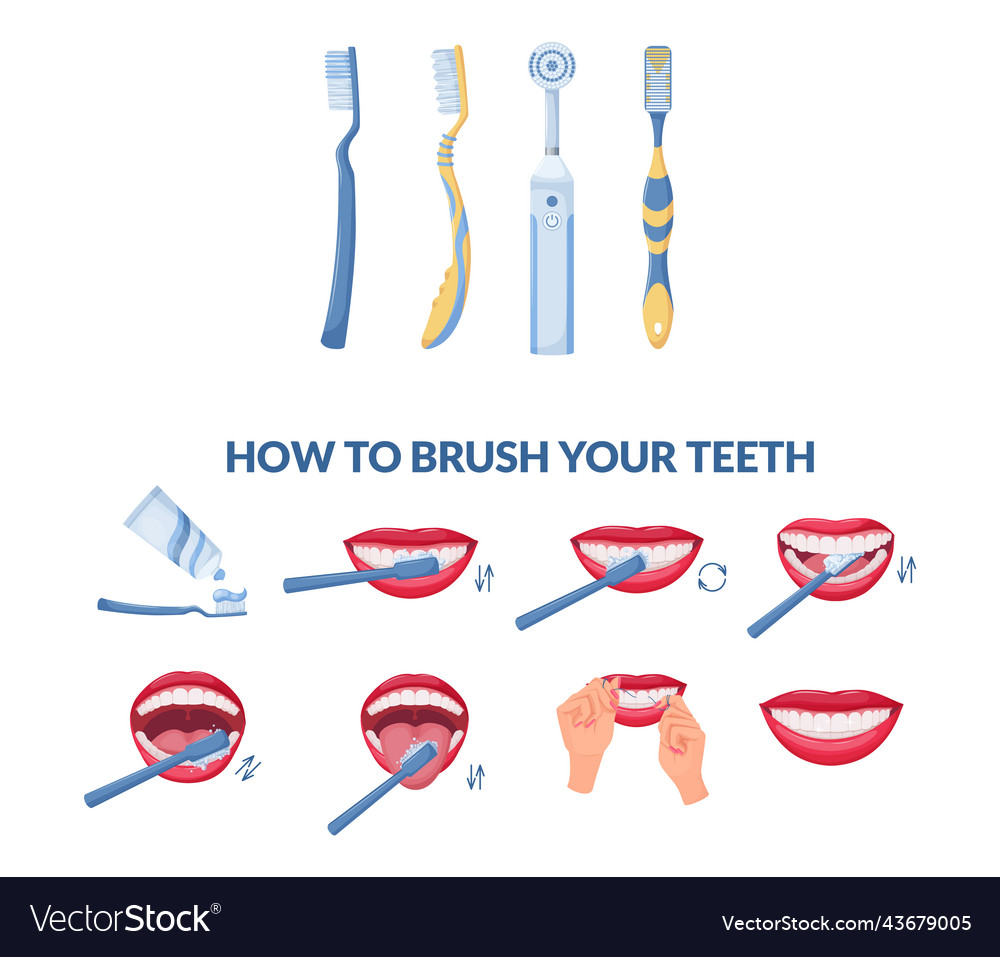 How to brush your teeth step by step instruction Vector Image