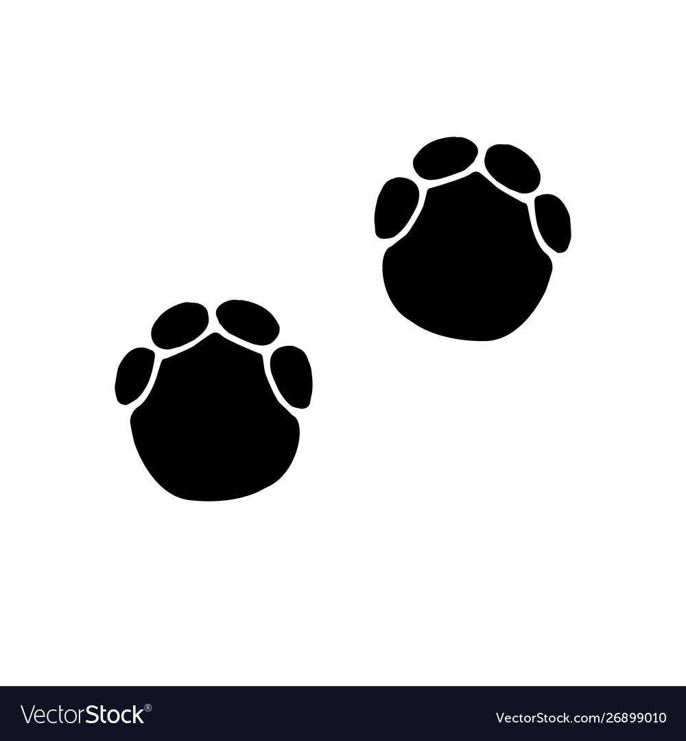 Elephant Footprints - Black and White