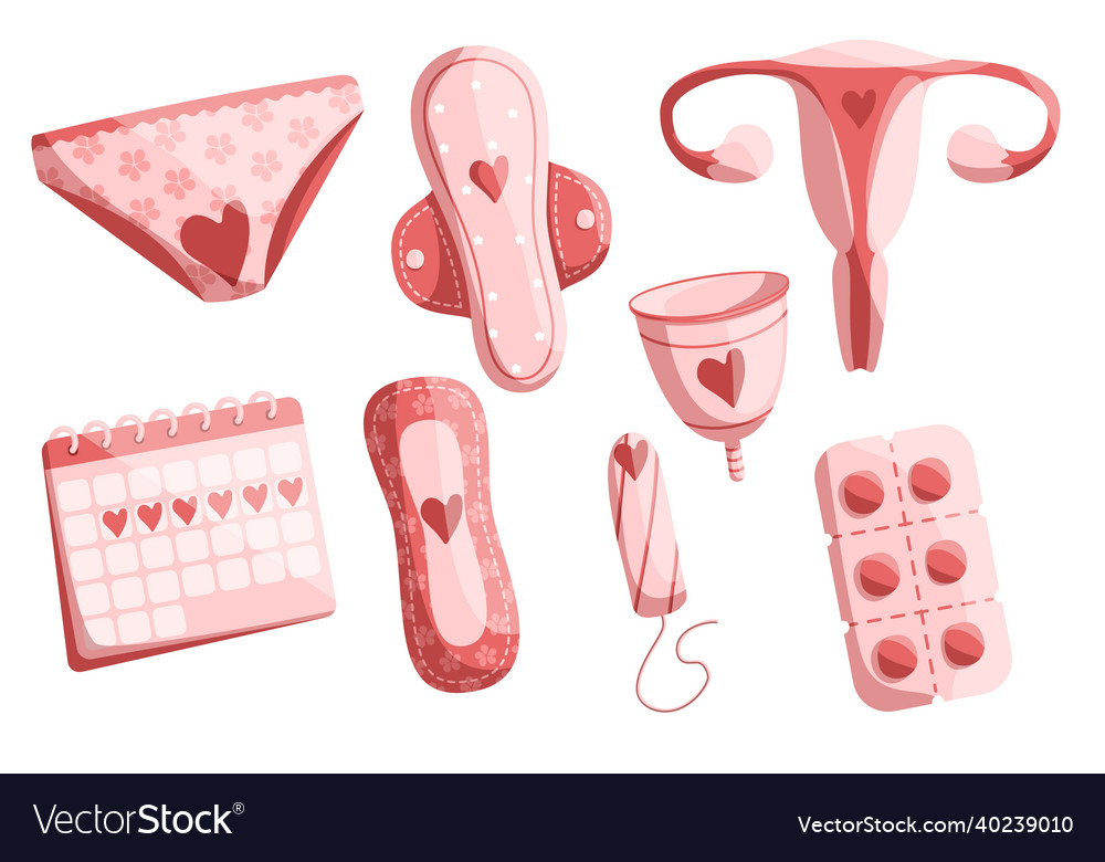 Hand drawn objects on the menstruation theme vector image Hand drawn objects on the menstruation theme