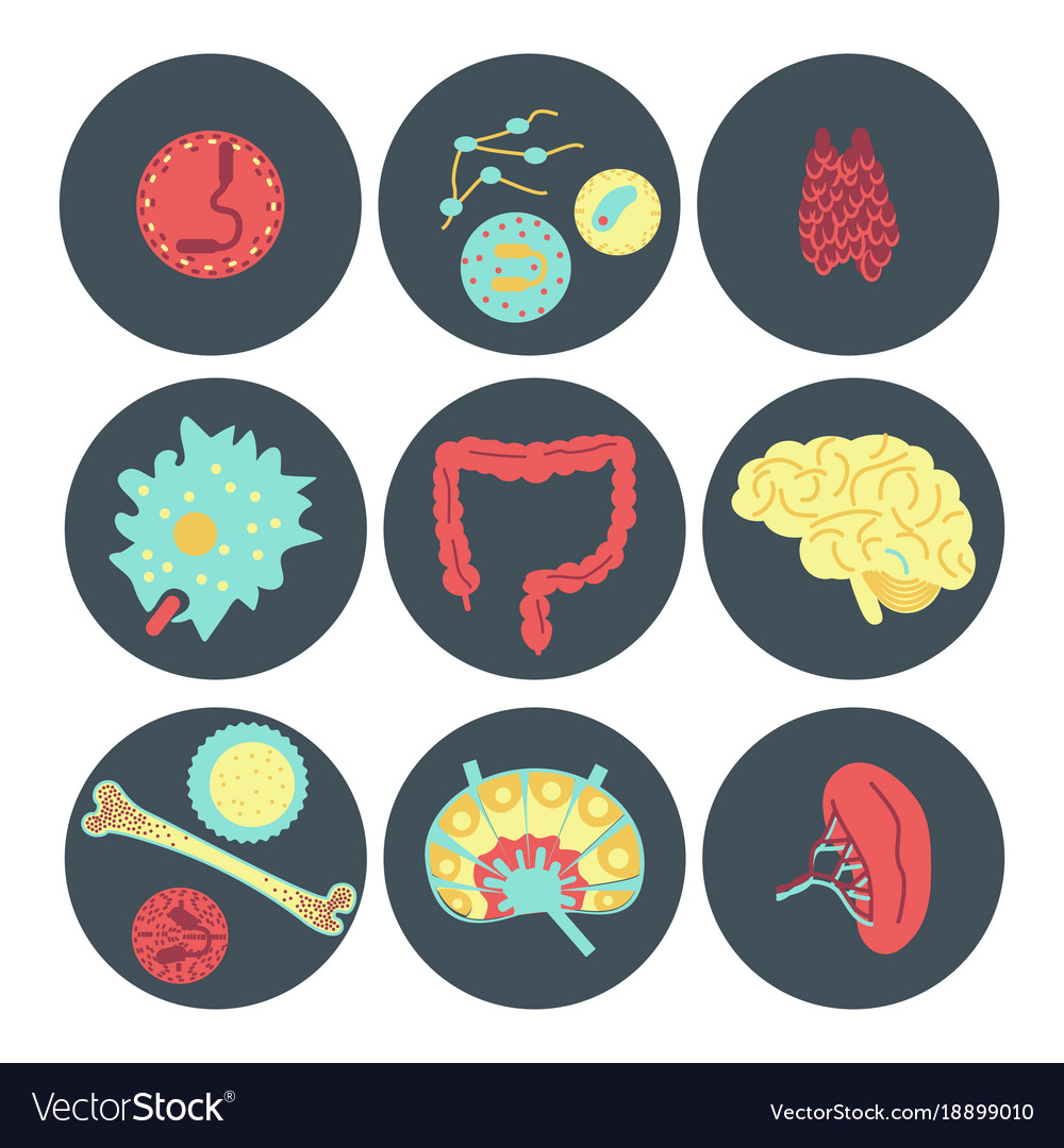 Immune System Icon Set Royalty Free Vector Image