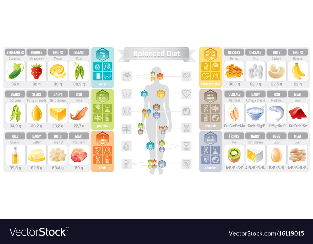 Balance Ernährung Infografik Diagramm Poster Wasser