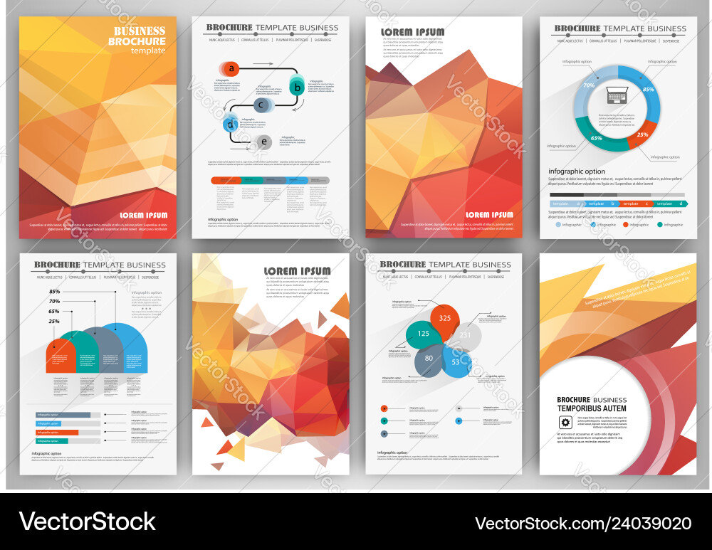 Set business flyer design infographic layout Vector Image