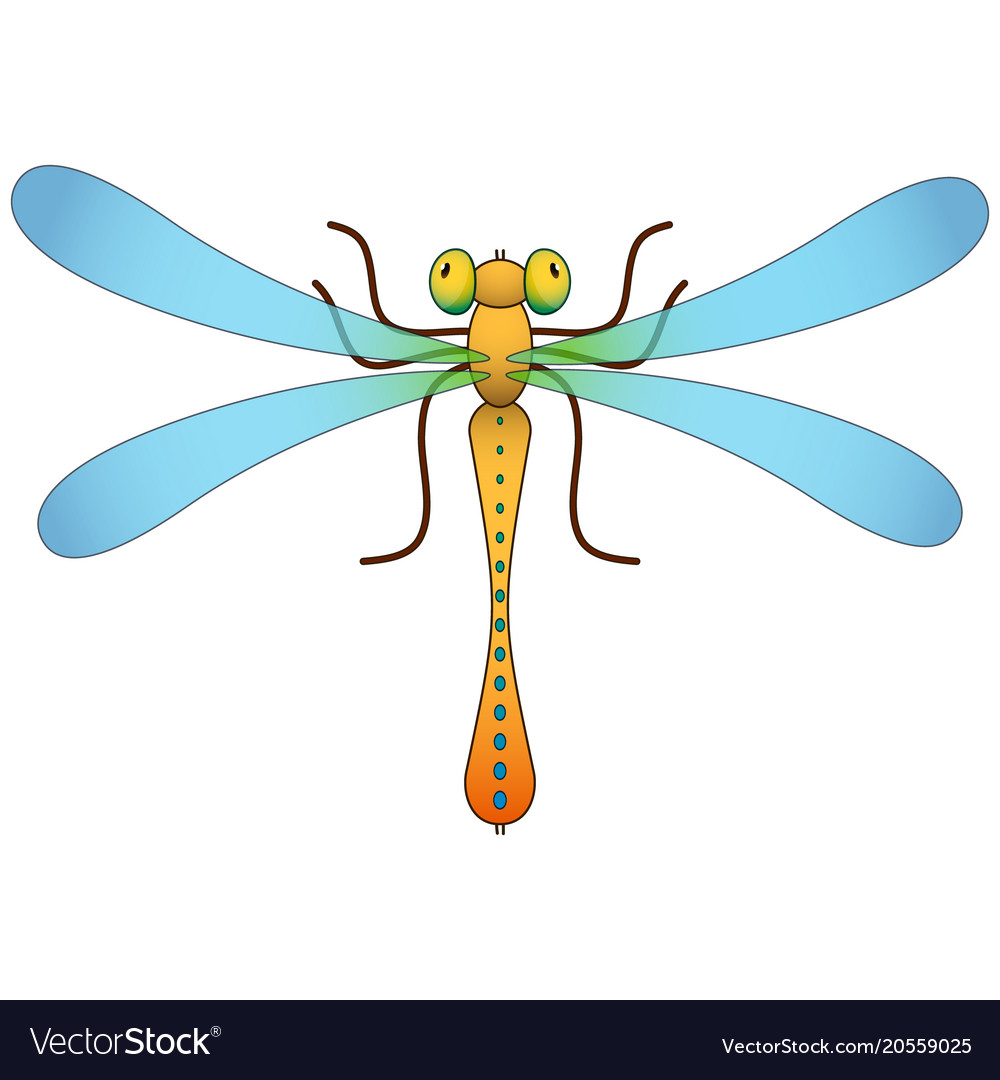 Dragonfly isolated object image