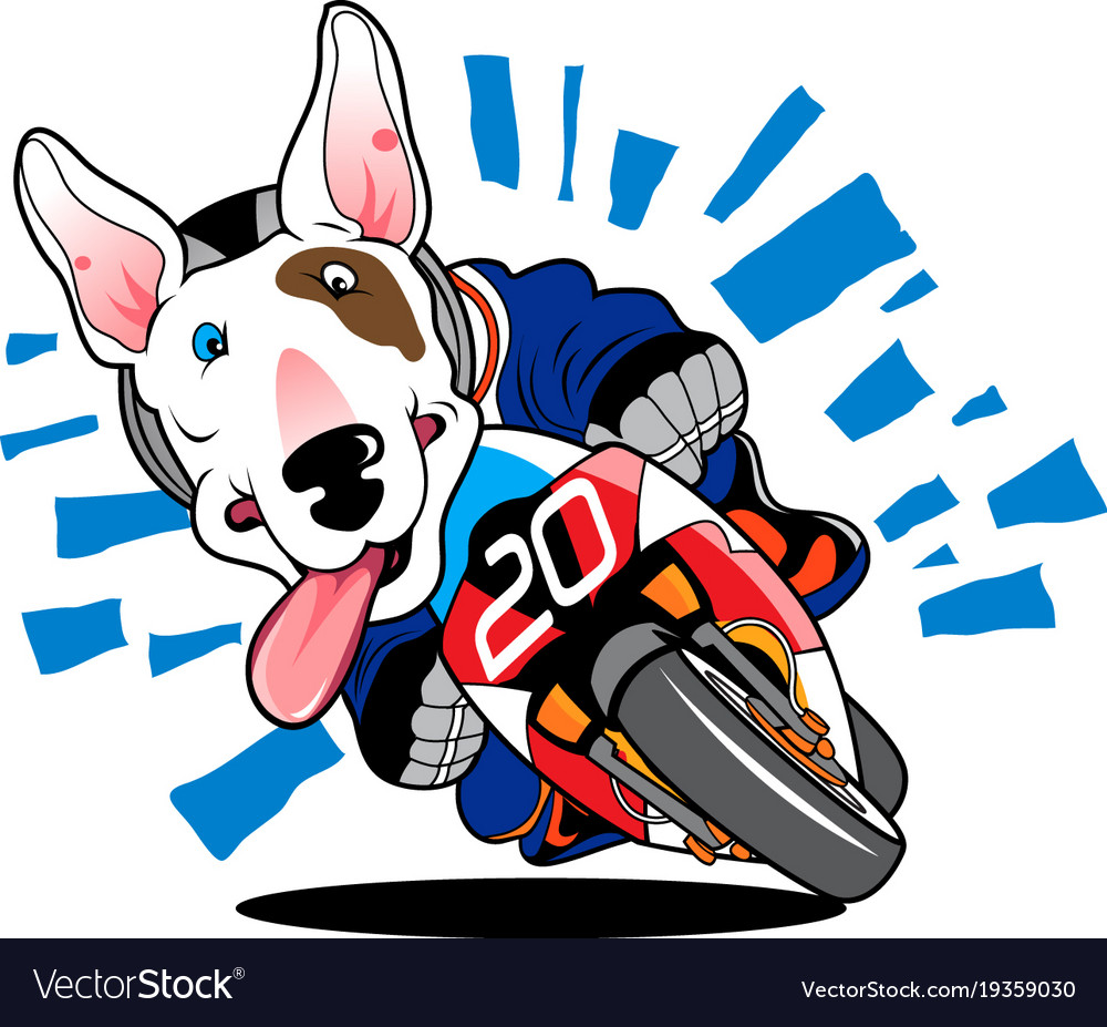 Motodog01