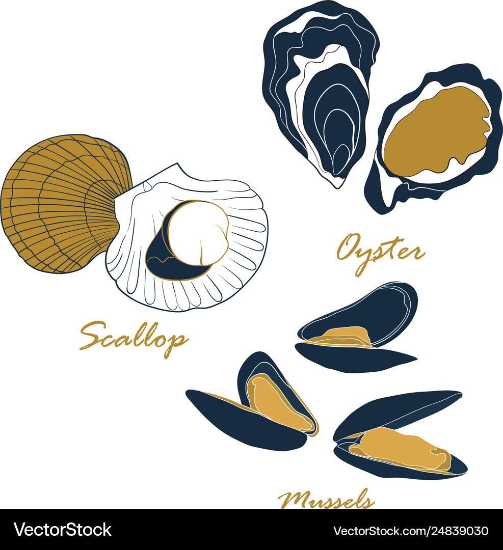 Shellfish set isolated on white background Vector Image