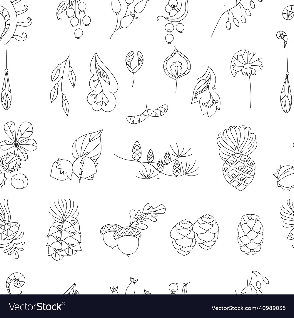 Seamless floral contour pattern with forest seeds