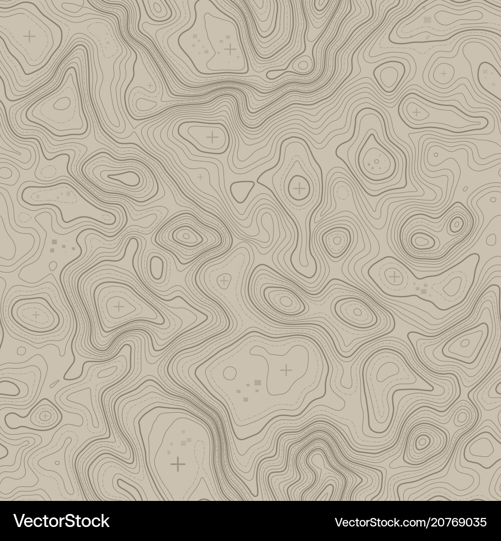 Seamless pattern topographic map background Vector Image