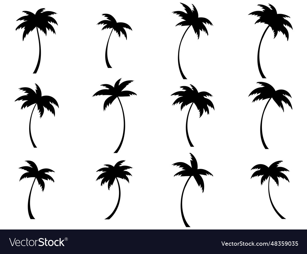 Set of black silhouettes palm trees isolated