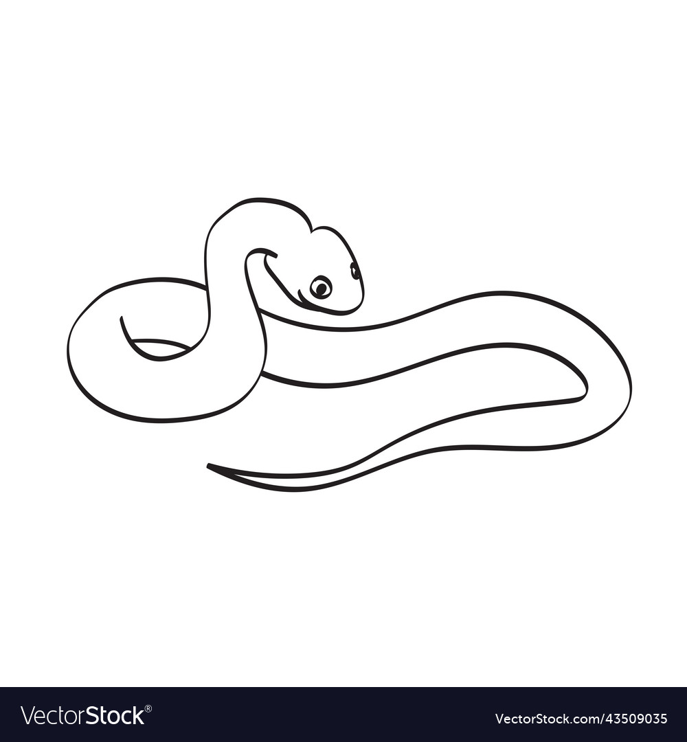 Snake hand drawn isolated on white Royalty Free Vector Image