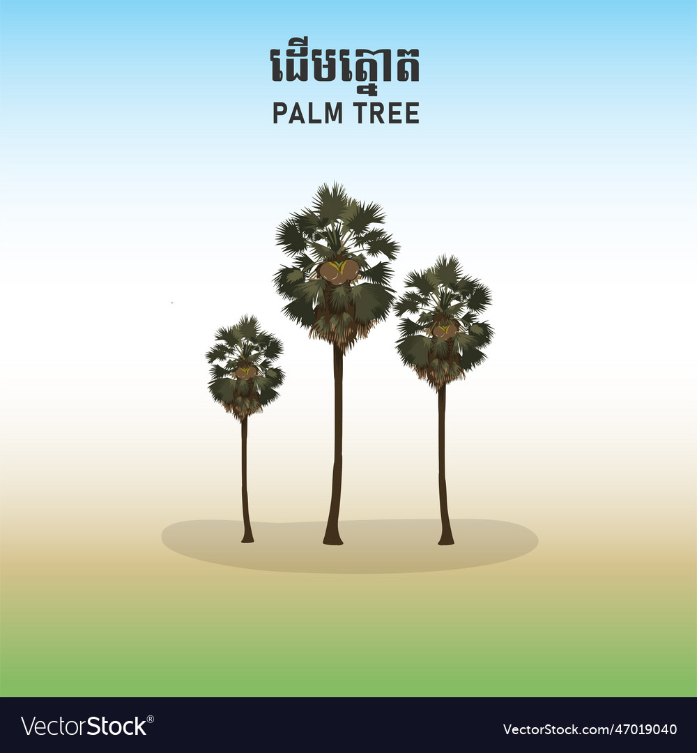 Cambodia palm tree in khmer tnaot Royalty Free Vector Image