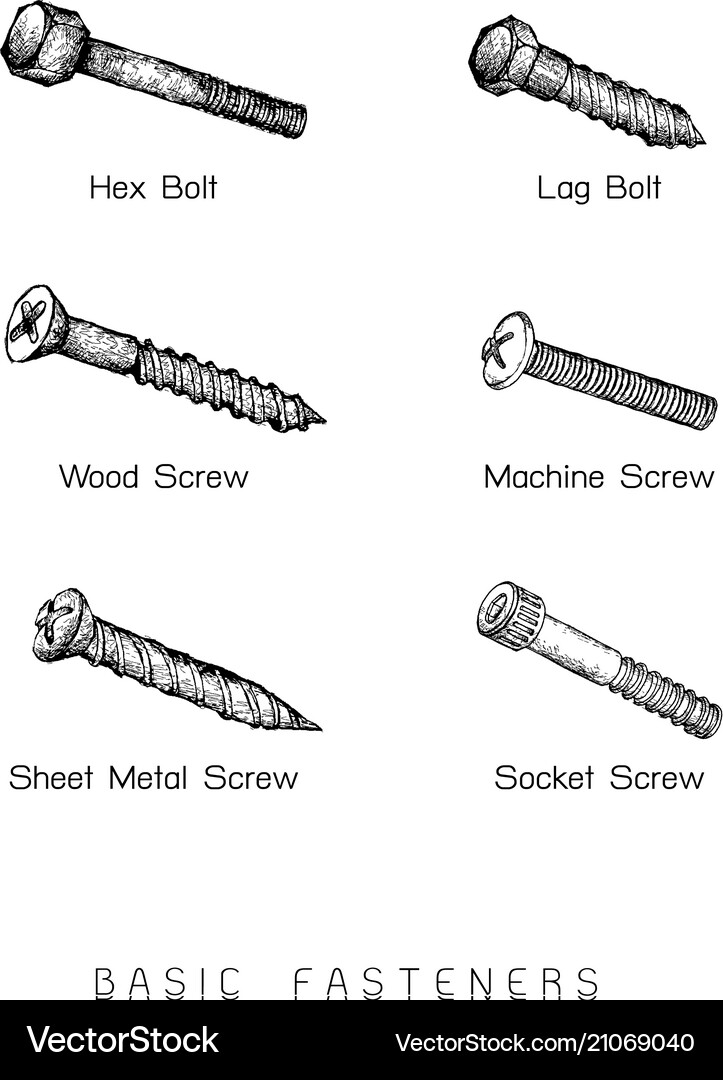 Hand drawn sketch of basic fasteners set Vector Image