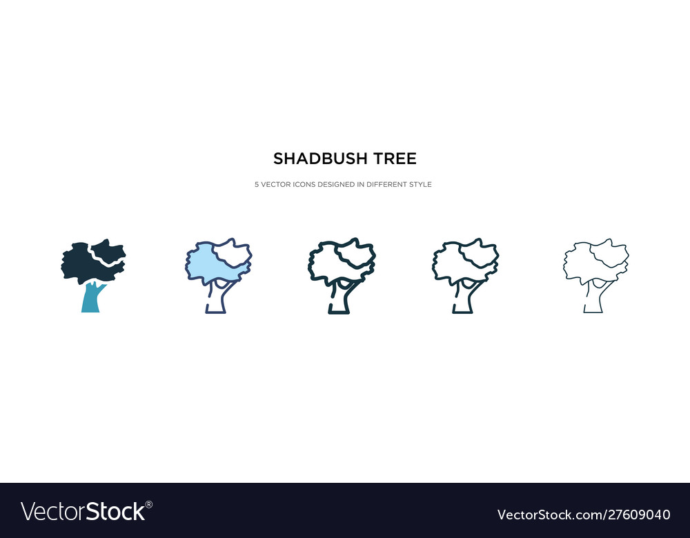 Shadbush tree icon in different style two