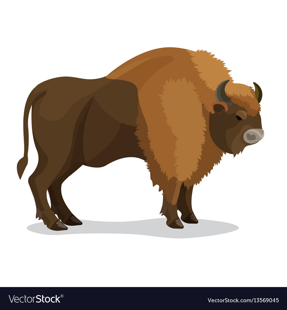 Aurochs animal in brown colour with horns isolated