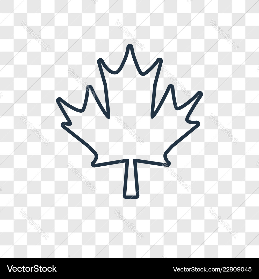 Maple leaf concept linear icon isolated Royalty Free Vector