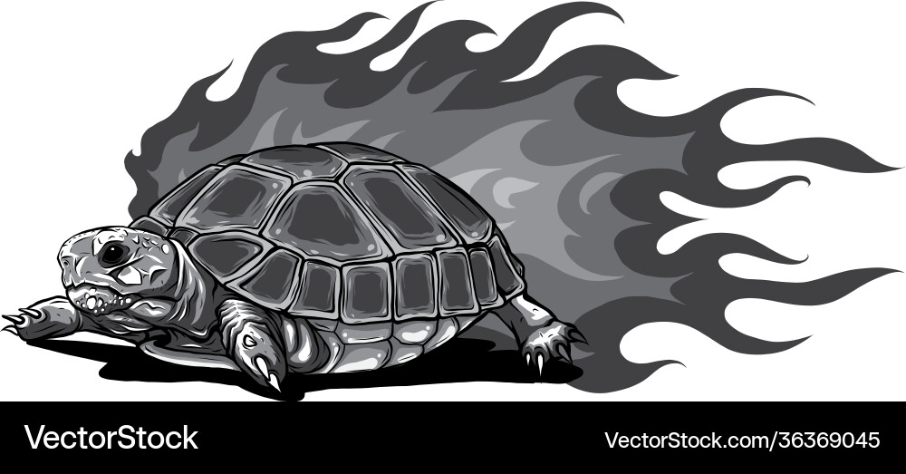 Monochromatic turtle isolated on white background Vector Image