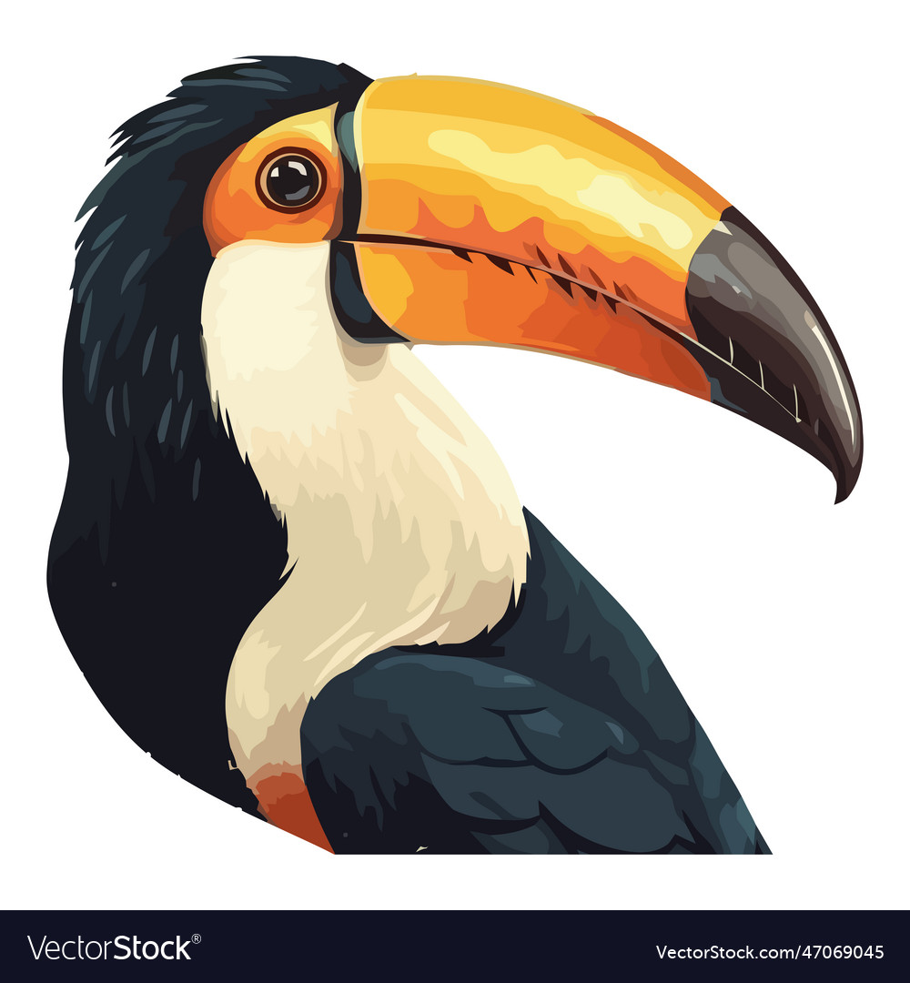 Toucan flying in tropical rainforest colorful beak