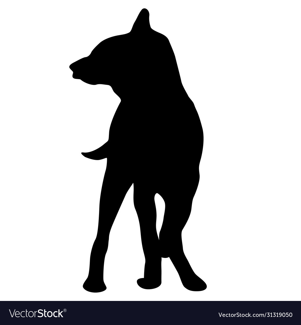 Shepherd dog black silhouette on white background