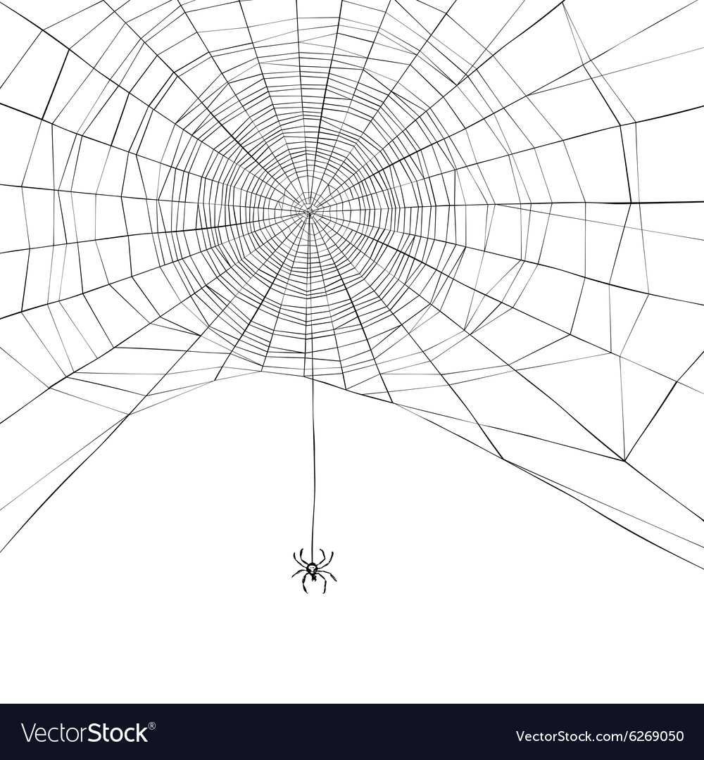 Spooky Spider Web Background