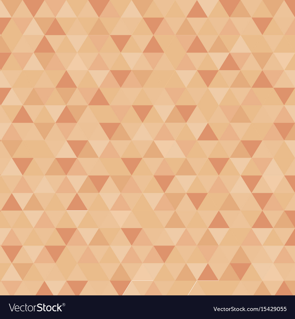 Abstract triangle in brown censor skin color Vector Image