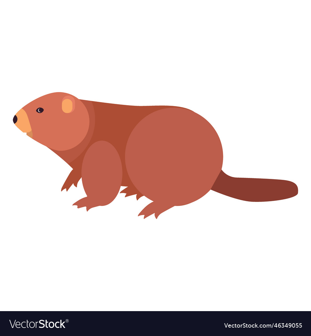 Beaver tail fat rodent flat Royalty Free Vector Image