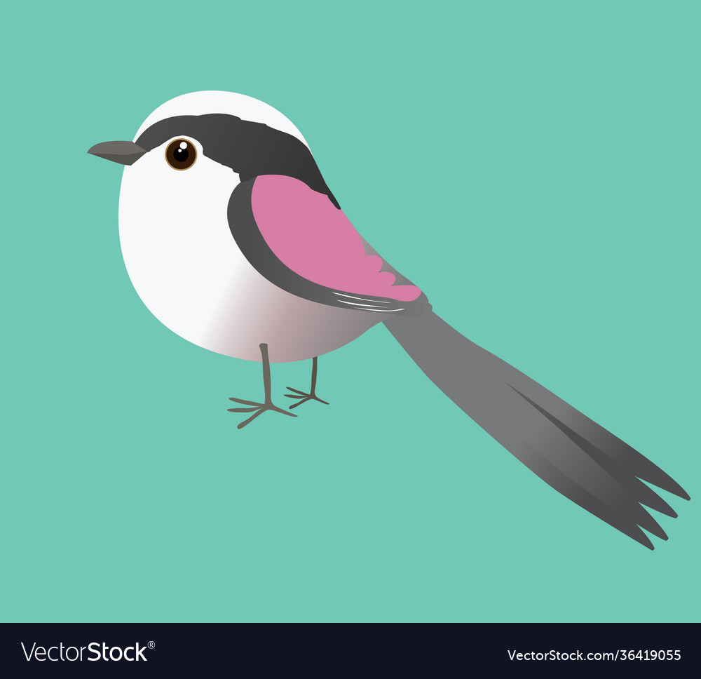 Cute long tailed tit