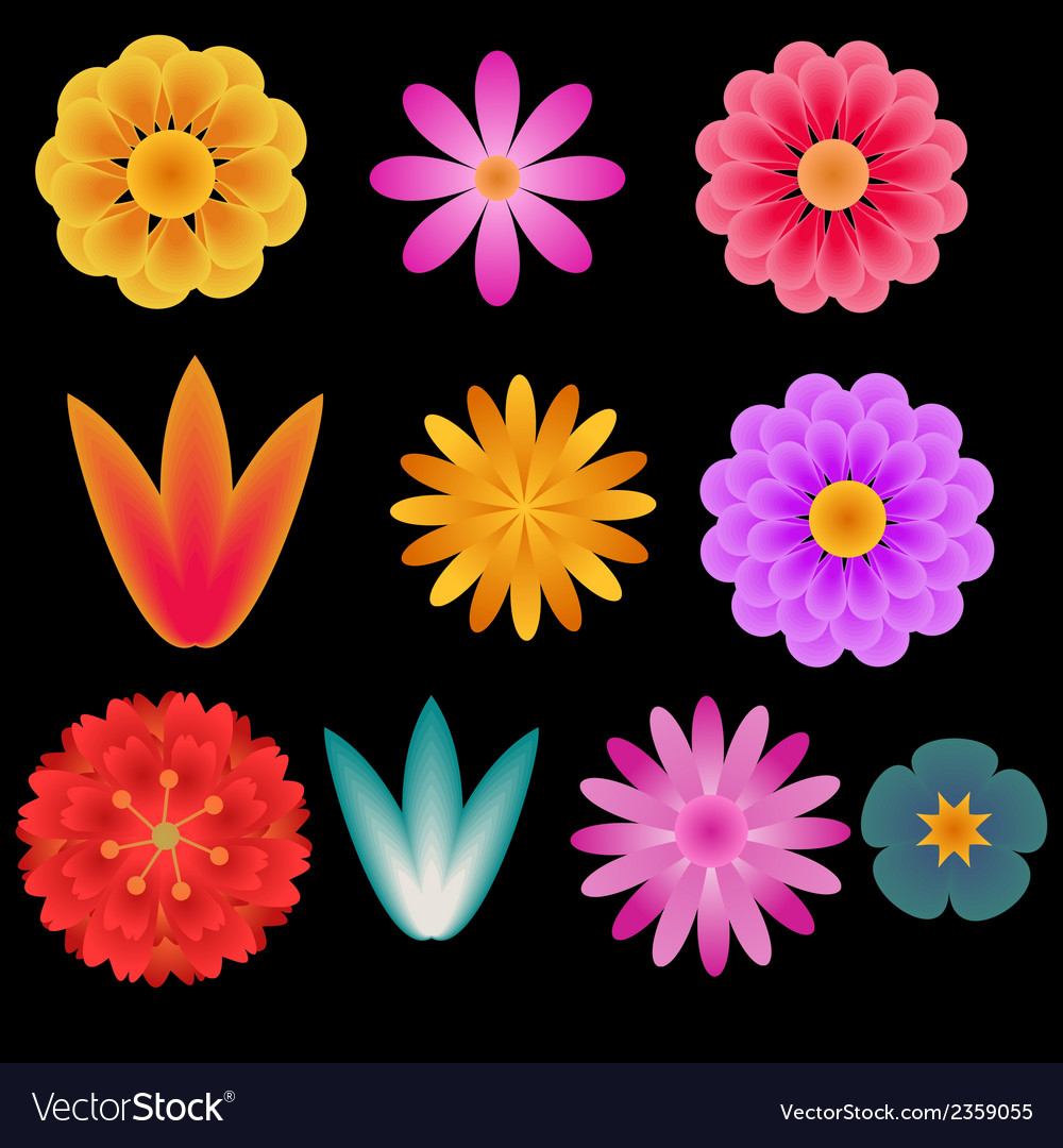 Flowers set Royalty Free Vector Image - VectorStock