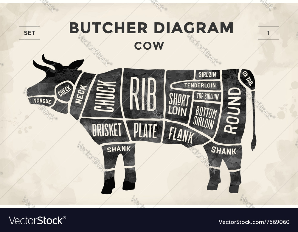 Cut Meat Set Poster Butcher Diagram And Scheme Vector Image