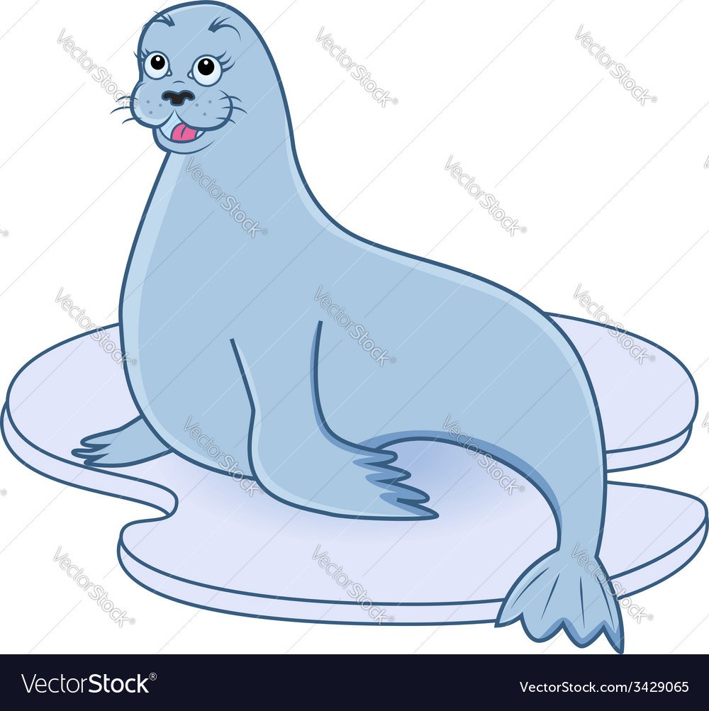 Seal Royalty Free Vector Image - VectorStock