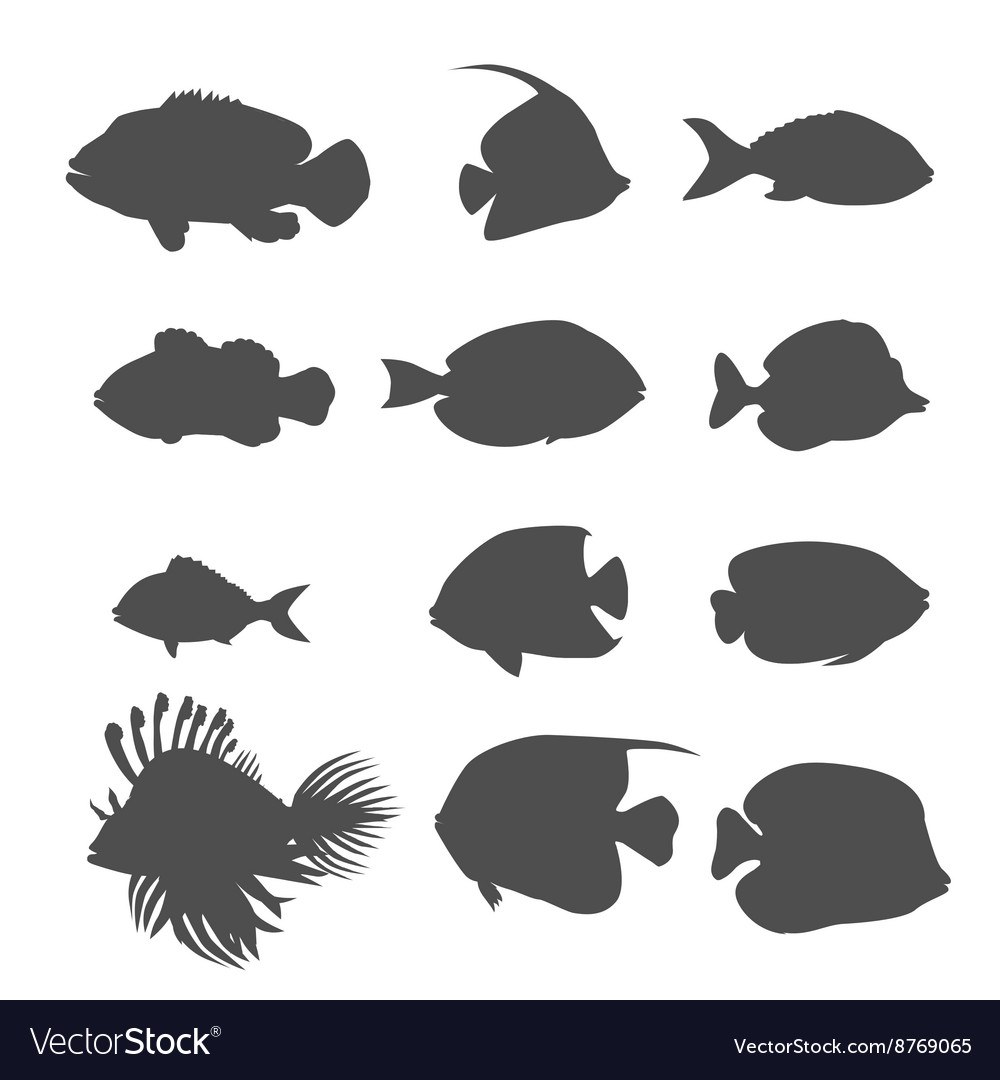 Set of sea fish color design flat