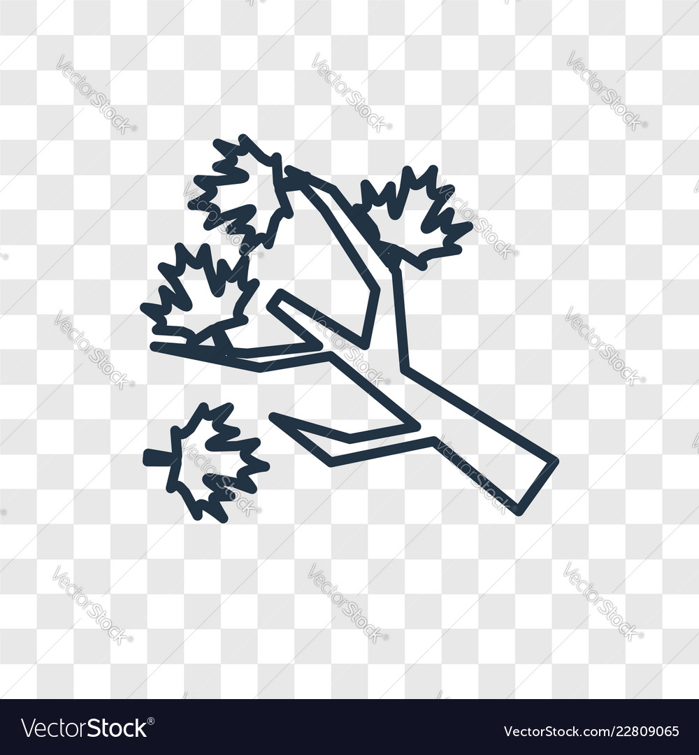 Tree branch concept linear icon isolated