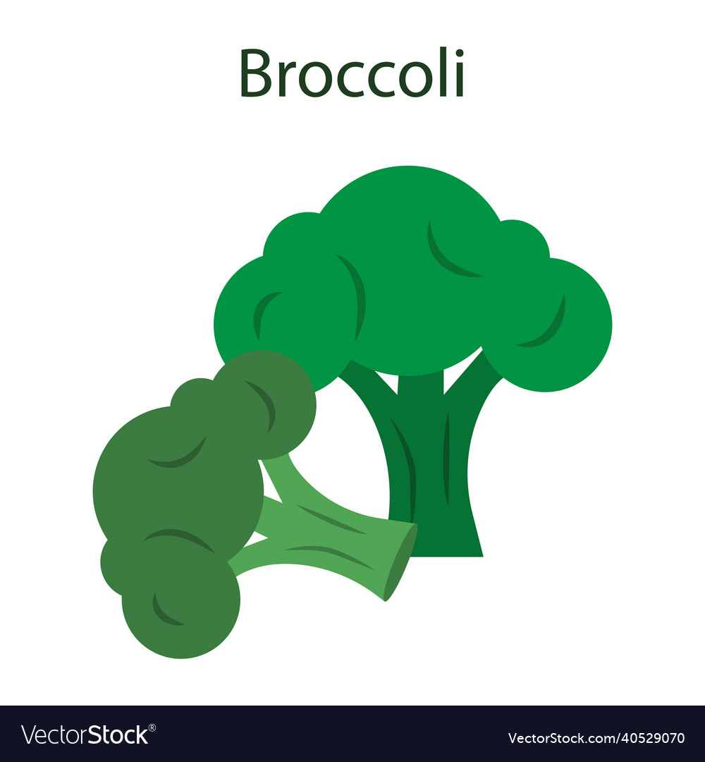 Broccoli icon green organic food cartoon style Vector Image