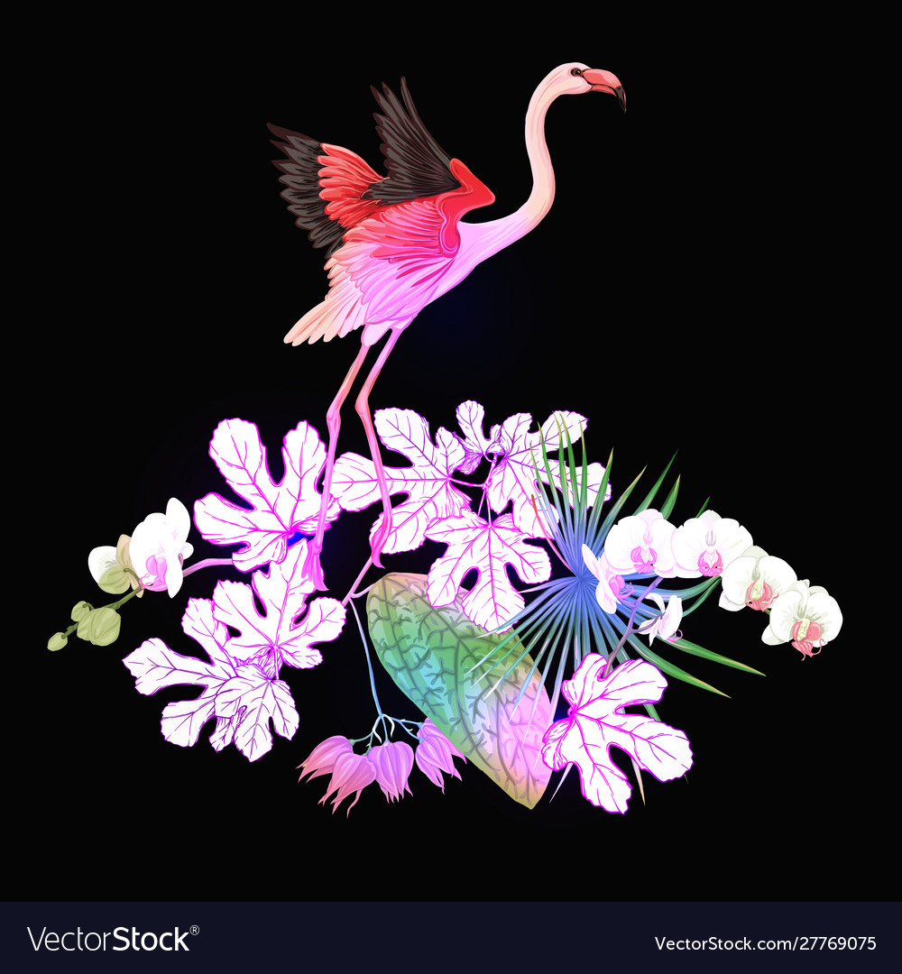 A composition tropical plants palm leaves vector image A composition tropical plants palm leaves
