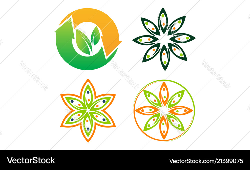Leaf template set Royalty Free Vector Image - VectorStock