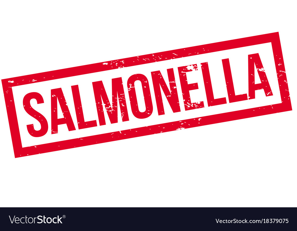 Salmonella rubber stamp Royalty Free Vector Image