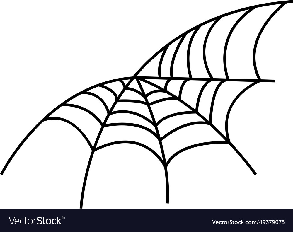 Spider web on transparent background spiderweb