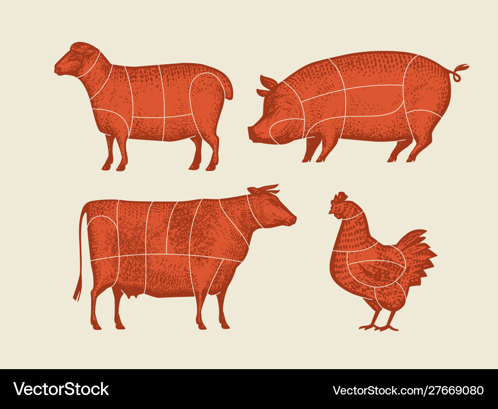 Farm animals with meat cuts lines retro Royalty Free Vector