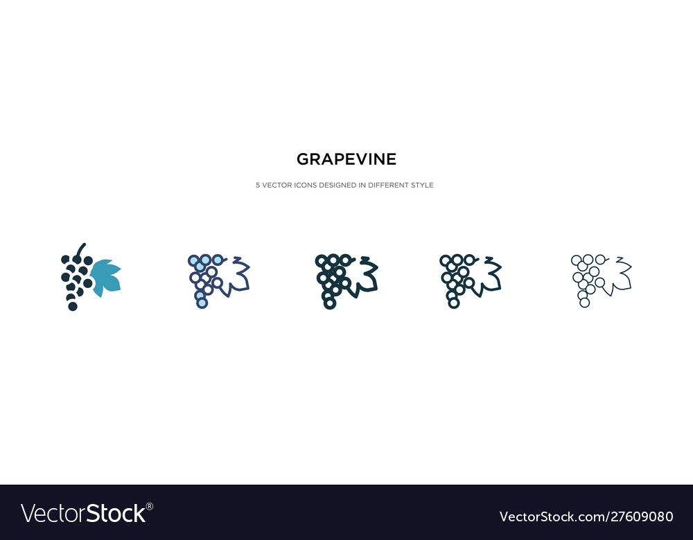 Grapevine icon in different style two colored