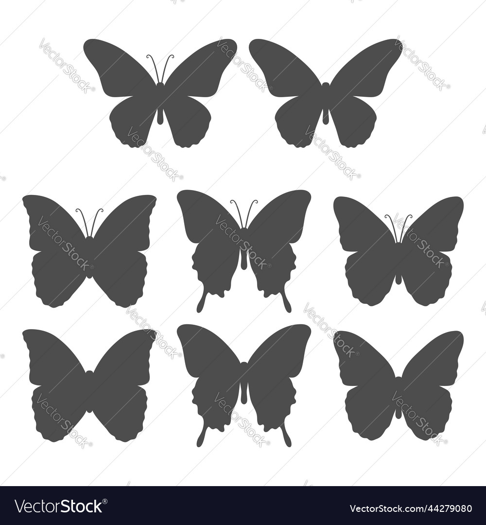 Set with a butterfly Royalty Free Vector Image