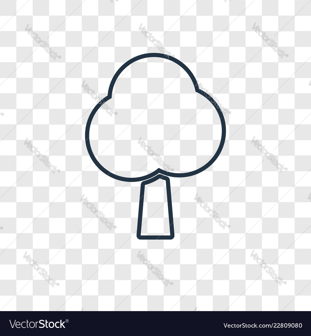 Tree concept linear icon isolated on transparent
