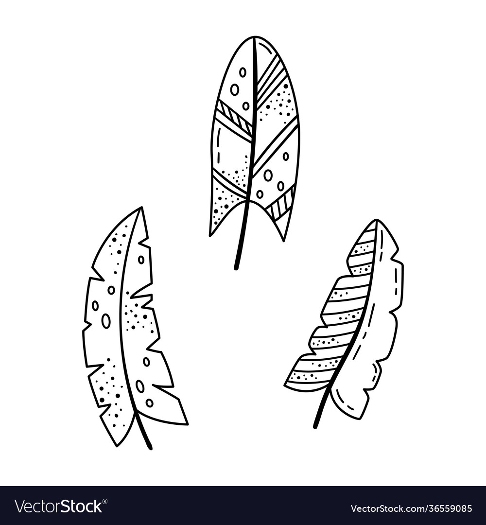 A set doodle bright cartoon feathers