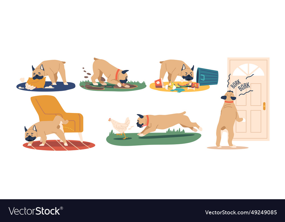 Common dog behavior problems include aggression Vector Image Common dog behavior problems include aggression