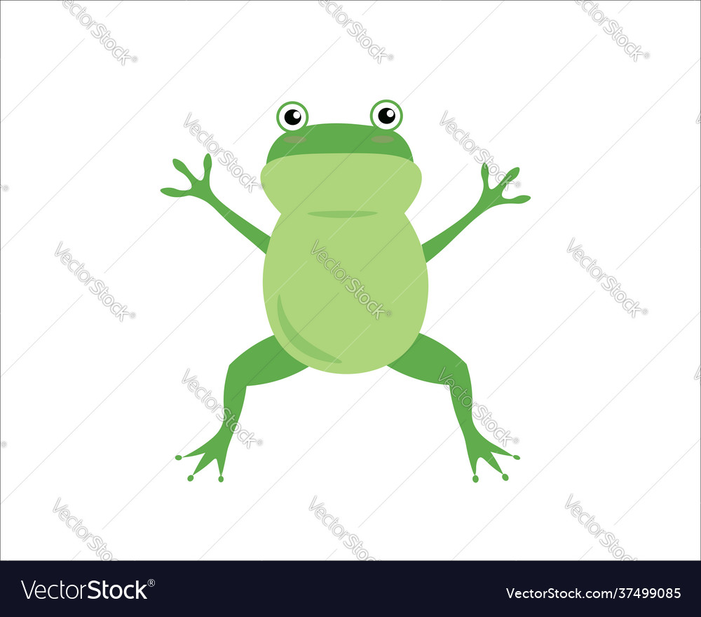 Cute isolated frog