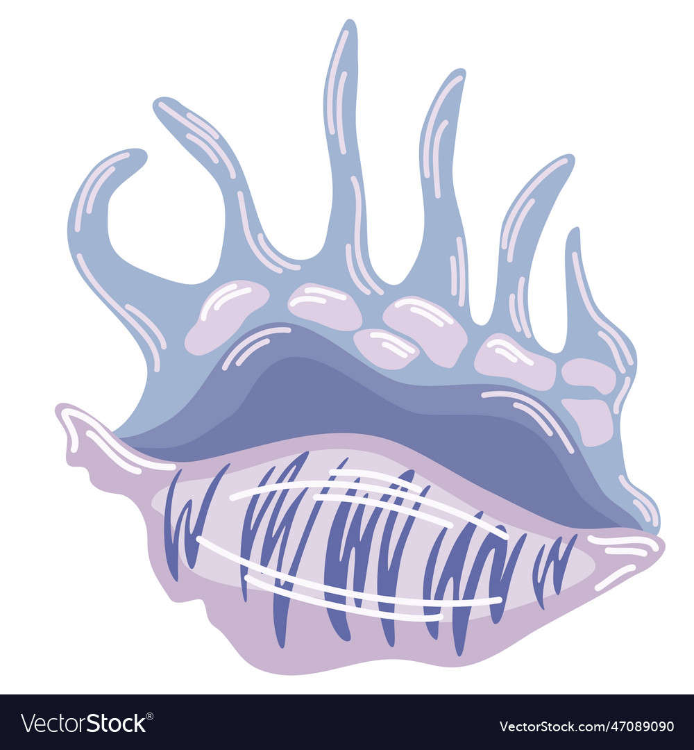 0401 seashell