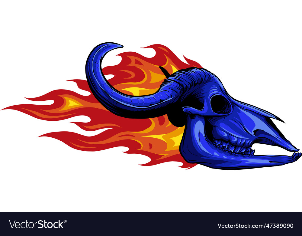 Bull skull with horns design Royalty Free Vector Image